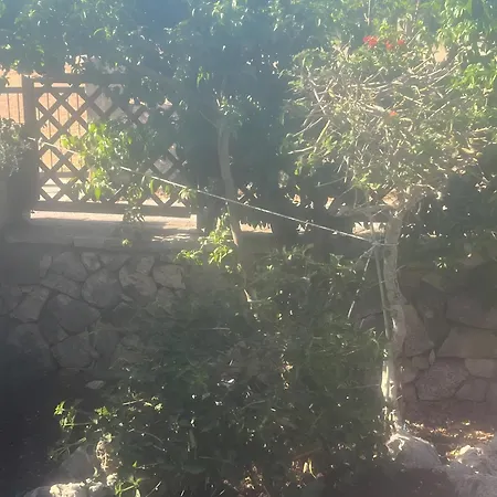 度假居 Marias Charming Mezonet