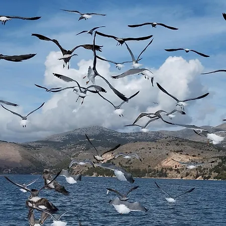 度假居 Marias Charming Mezonet Fokata