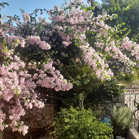 度假居 Marias Charming Mezonet